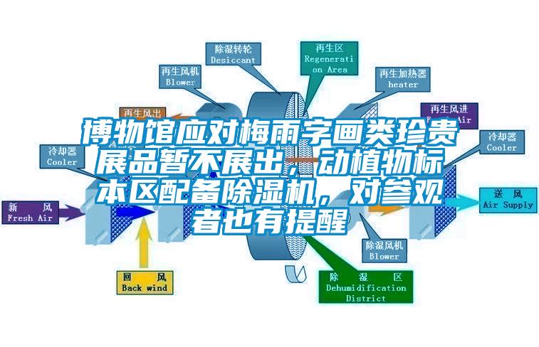 博物館應(yīng)對(duì)梅雨字畫類珍貴展品暫不展出，動(dòng)植物標(biāo)本區(qū)配備除濕機(jī)，對(duì)參觀者也有提醒