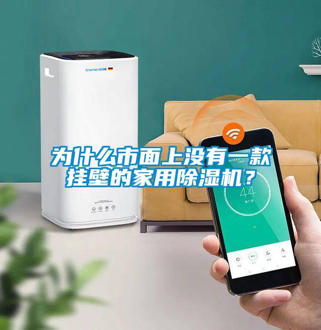 為什么市面上沒有一款掛壁的家用除濕機(jī)？