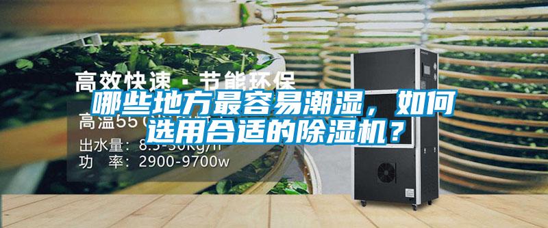 哪些地方最容易潮濕，如何選用合適的除濕機？