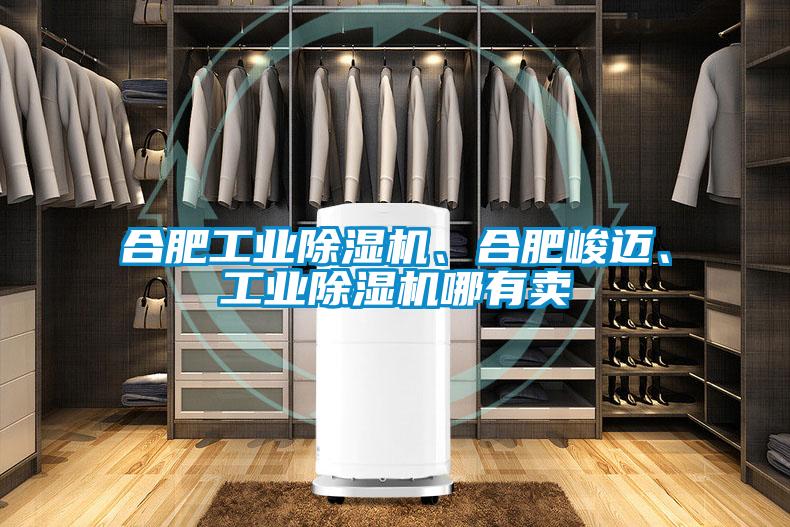 合肥工業(yè)除濕機(jī)、合肥峻邁、工業(yè)除濕機(jī)哪有賣