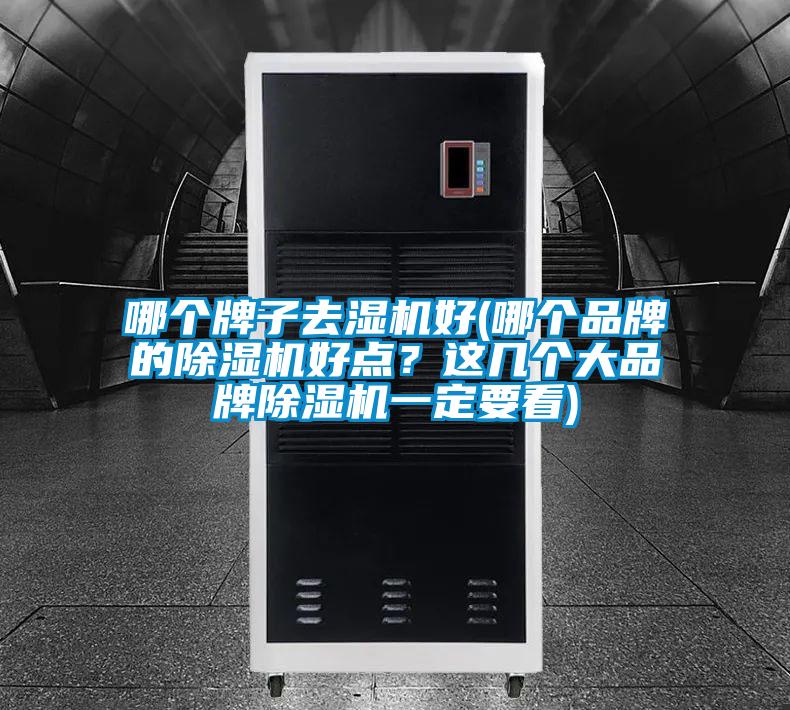 哪個(gè)牌子去濕機(jī)好(哪個(gè)品牌的除濕機(jī)好點(diǎn)？這幾個(gè)大品牌除濕機(jī)一定要看)