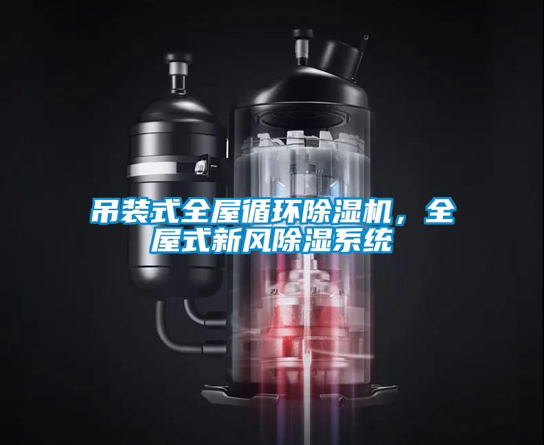 吊裝式全屋循環(huán)除濕機，全屋式新風(fēng)除濕系統(tǒng)
