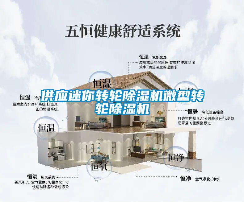 供應迷你轉(zhuǎn)輪除濕機微型轉(zhuǎn)輪除濕機