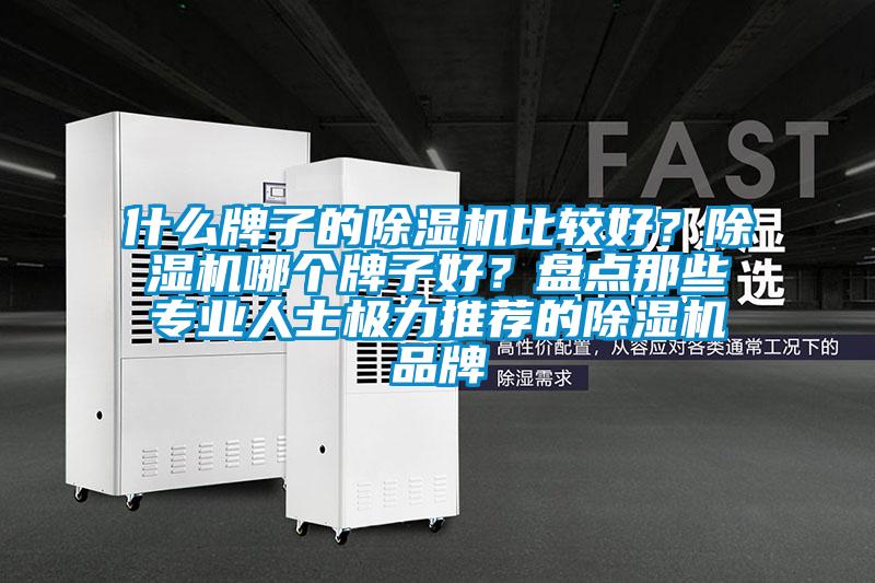 什么牌子的除濕機(jī)比較好？除濕機(jī)哪個牌子好？盤點那些專業(yè)人士極力推薦的除濕機(jī)品牌