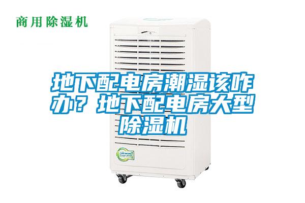 地下配電房潮濕該咋辦？地下配電房大型除濕機(jī)
