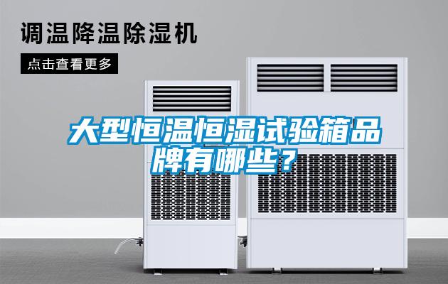 大型恒溫恒濕試驗箱品牌有哪些？