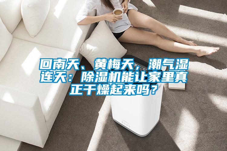 回南天、黃梅天，潮氣濕連天：除濕機(jī)能讓家里真正干燥起來嗎？