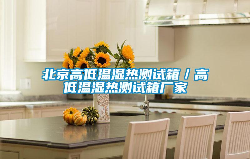 北京高低溫濕熱測(cè)試箱／高低溫濕熱測(cè)試箱廠(chǎng)家