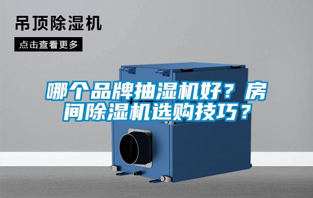 哪個(gè)品牌抽濕機(jī)好？房間除濕機(jī)選購(gòu)技巧？