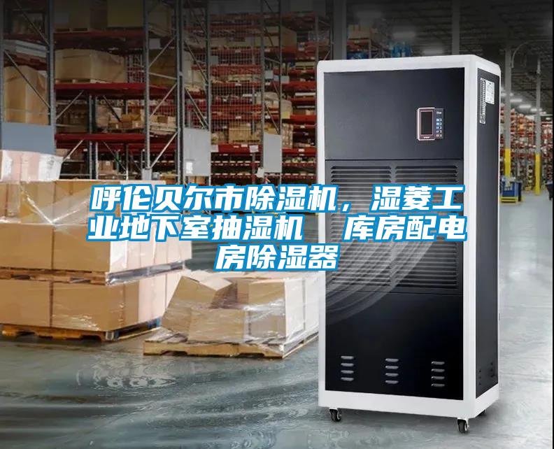呼倫貝爾市除濕機(jī)，濕菱工業(yè)地下室抽濕機(jī)  庫房配電房除濕器