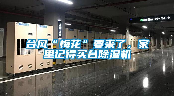 臺風“梅花”要來了，家里記得買臺除濕機