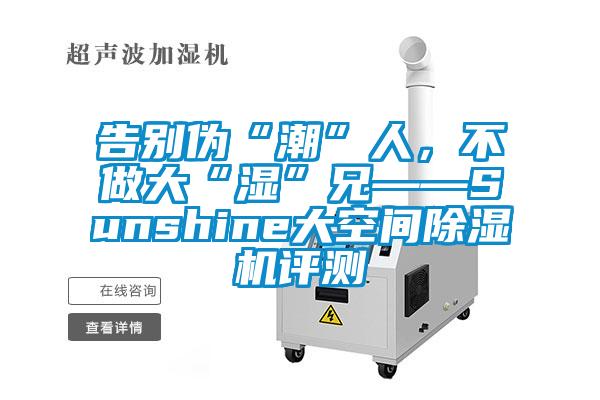 告別偽“潮”人，不做大“濕”兄——Sunshine大空間除濕機評測