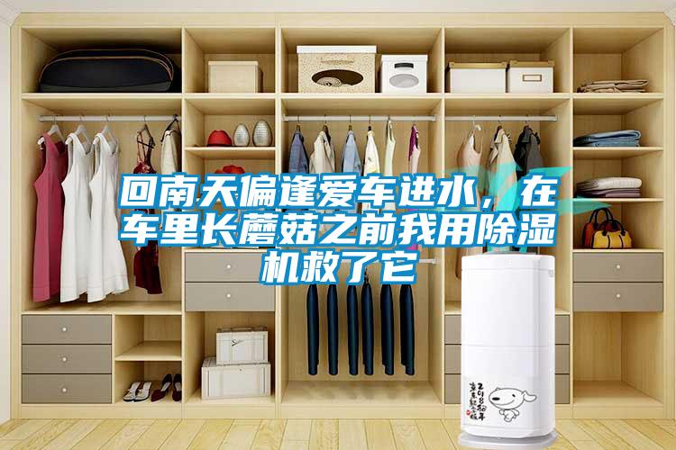 回南天偏逢愛(ài)車(chē)進(jìn)水，在車(chē)?yán)镩L(zhǎng)蘑菇之前我用除濕機(jī)救了它