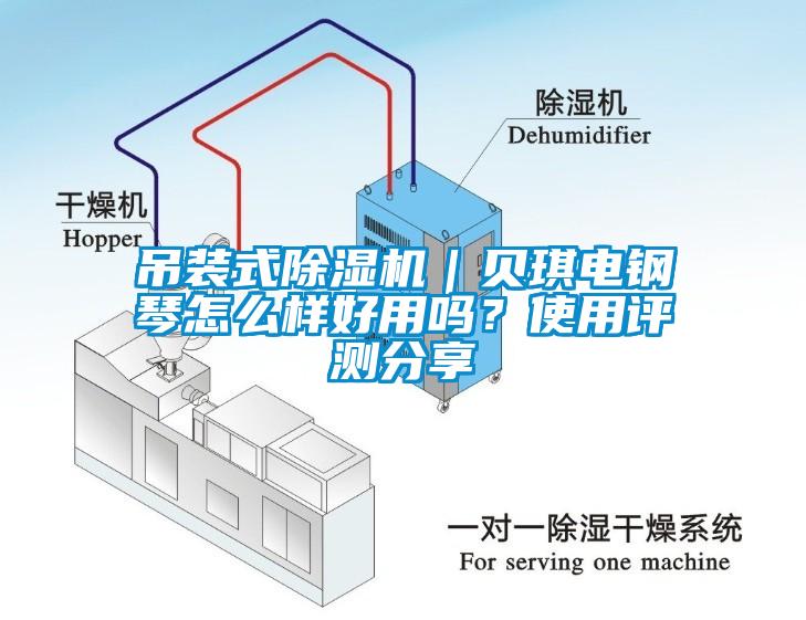 吊裝式除濕機(jī)｜貝琪電鋼琴怎么樣好用嗎？使用評(píng)測(cè)分享
