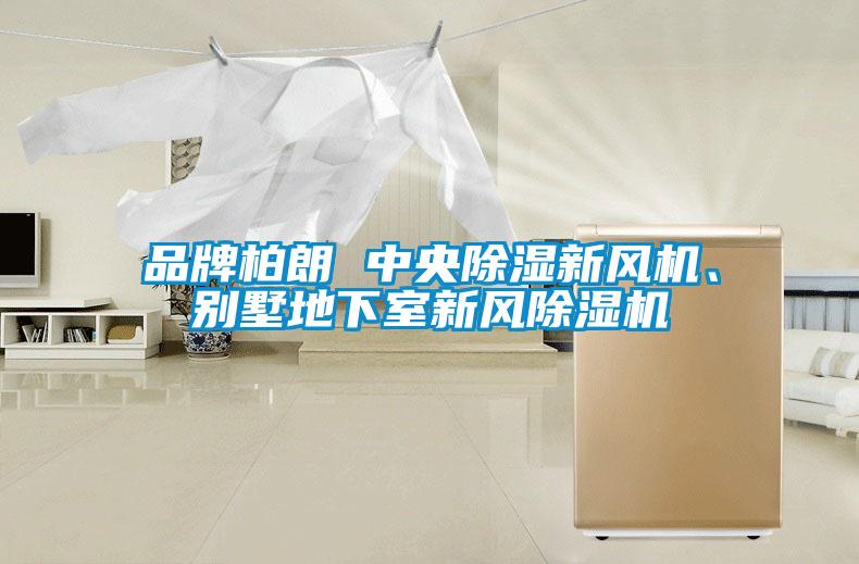 品牌柏朗 中央除濕新風(fēng)機(jī)、別墅地下室新風(fēng)除濕機(jī)