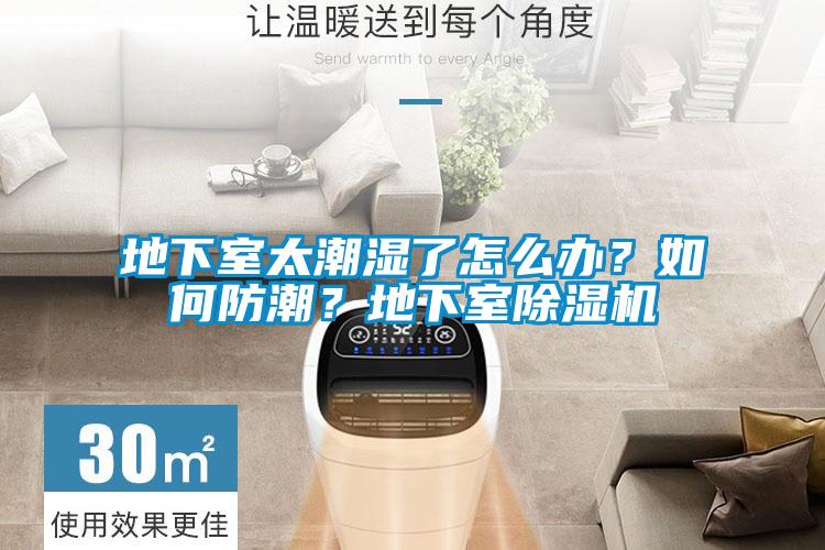 地下室太潮濕了怎么辦？如何防潮？地下室除濕機