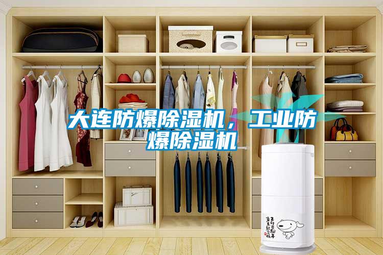 大連防爆除濕機(jī)，工業(yè)防爆除濕機(jī)