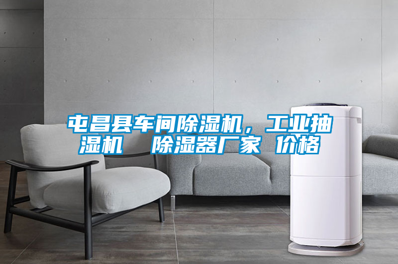 屯昌縣車間除濕機(jī)，工業(yè)抽濕機(jī)  除濕器廠家 價(jià)格