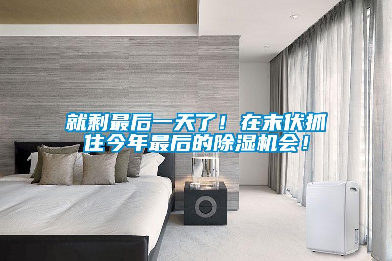 就剩最后一天了！在末伏抓住今年最后的除濕機(jī)會(huì)！
