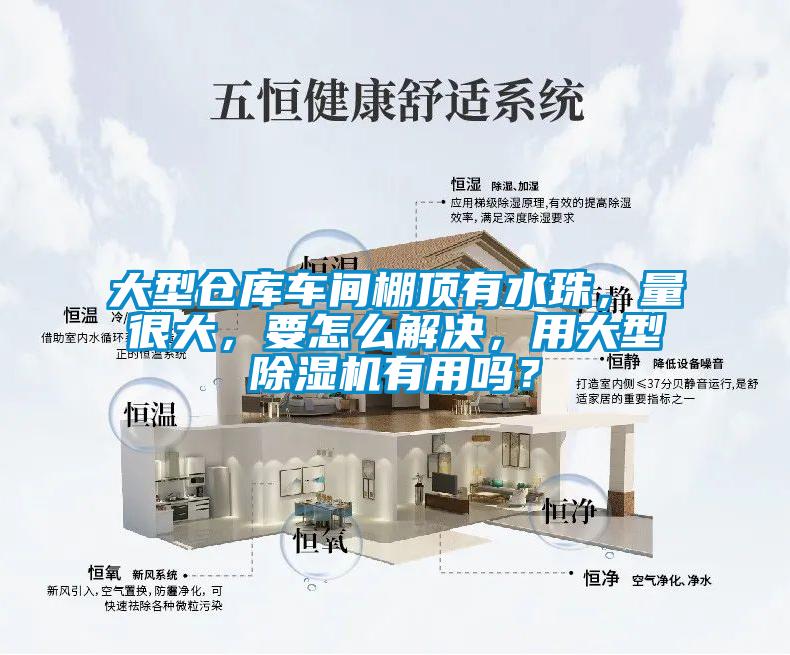 大型倉庫車間棚頂有水珠，量很大，要怎么解決，用大型除濕機(jī)有用嗎？