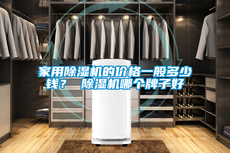 家用除濕機的價格一般多少錢？ 除濕機哪個牌子好