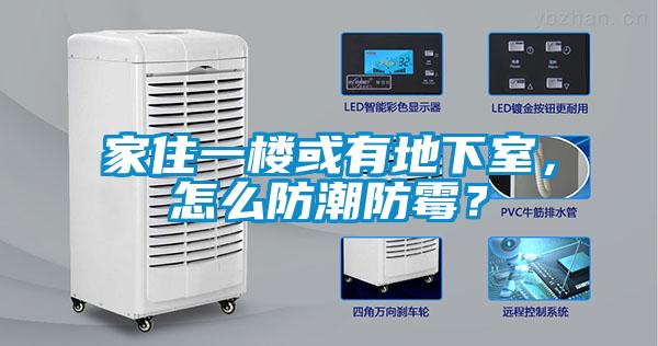家住一樓或有地下室，怎么防潮防霉？