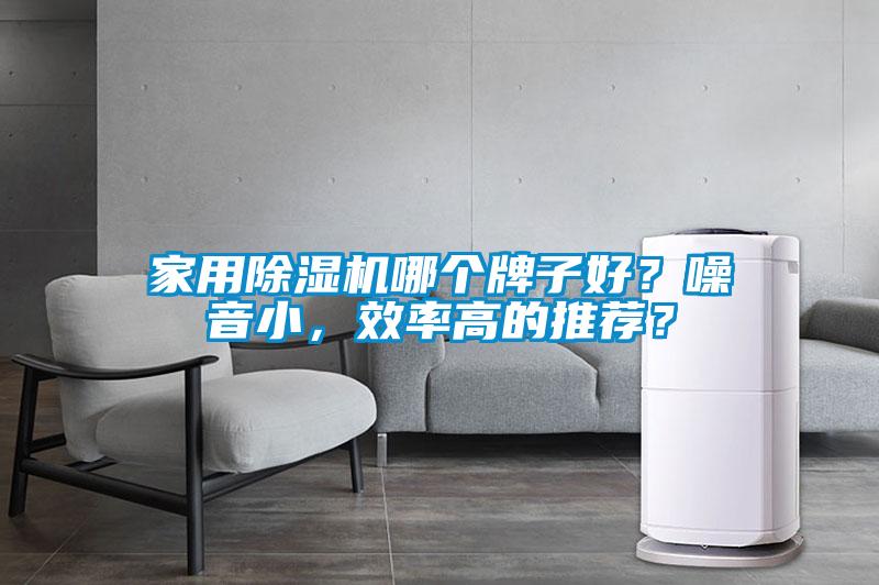家用除濕機(jī)哪個(gè)牌子好？噪音小，效率高的推薦？