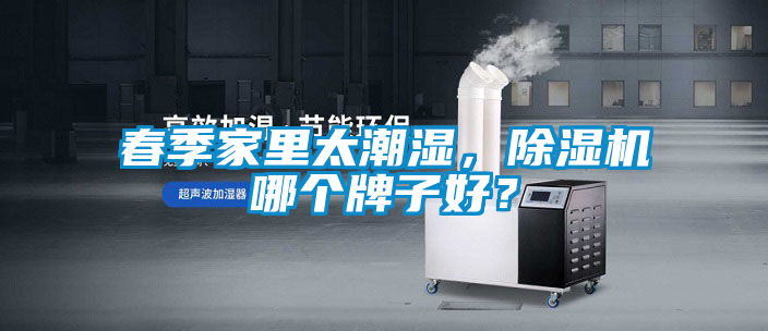 春季家里太潮濕，除濕機(jī)哪個(gè)牌子好？