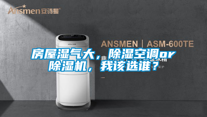 房屋濕氣大，除濕空調(diào)or除濕機，我該選誰？