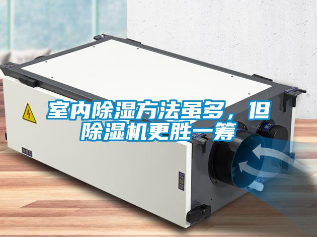 室內(nèi)除濕方法雖多，但除濕機(jī)更勝一籌