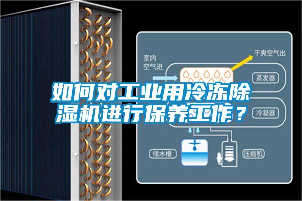 如何對工業(yè)用冷凍除濕機進行保養(yǎng)工作？