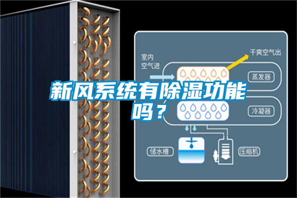 新風(fēng)系統(tǒng)有除濕功能嗎？