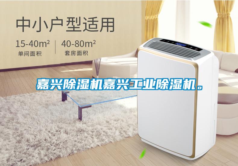 嘉興除濕機嘉興工業(yè)除濕機。