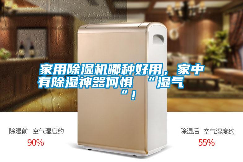 家用除濕機(jī)哪種好用，家中有除濕神器何懼 “濕氣 “！