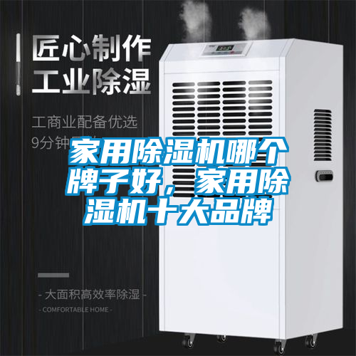 家用除濕機(jī)哪個牌子好，家用除濕機(jī)十大品牌
