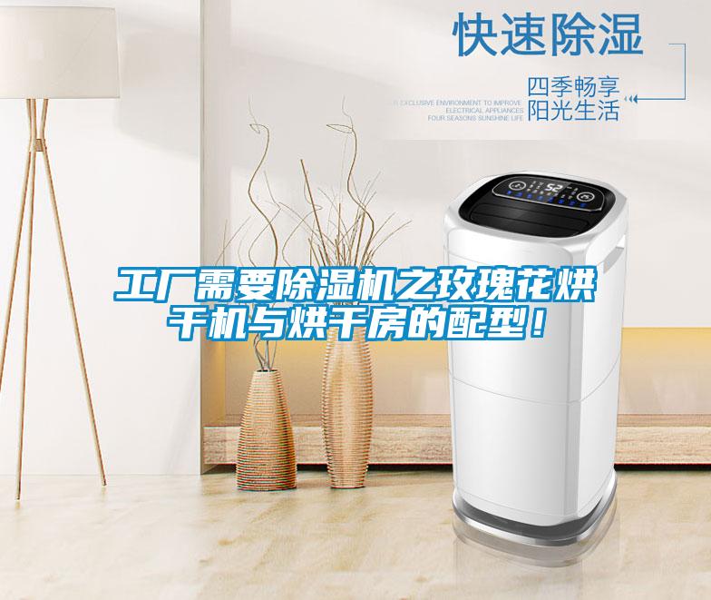工廠需要除濕機之玫瑰花烘干機與烘干房的配型！