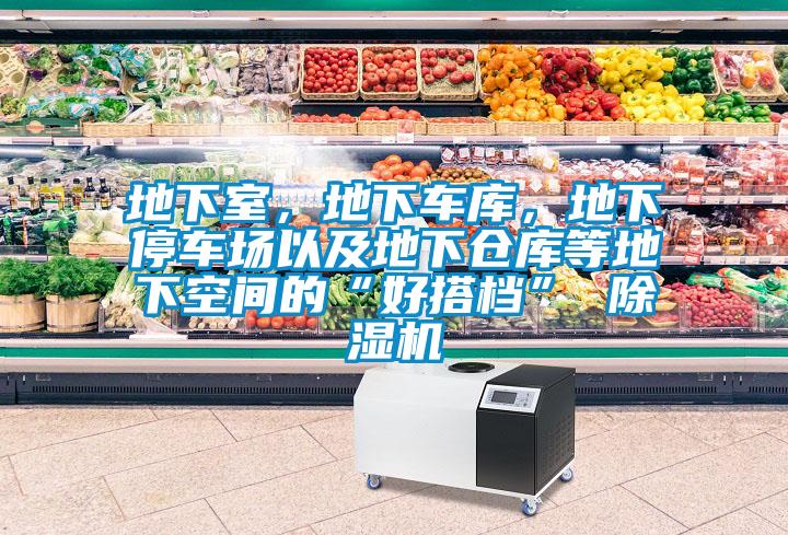 地下室，地下車庫，地下停車場以及地下倉庫等地下空間的“好搭檔” 除濕機