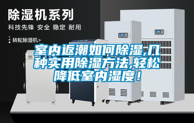 室內(nèi)返潮如何除濕,幾種實(shí)用除濕方法,輕松降低室內(nèi)濕度！