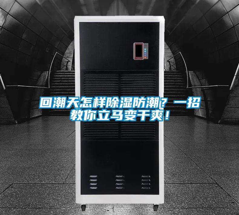 回潮天怎樣除濕防潮？一招教你立馬變干爽！