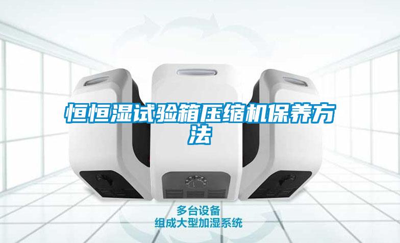 恒恒濕試驗箱壓縮機保養(yǎng)方法