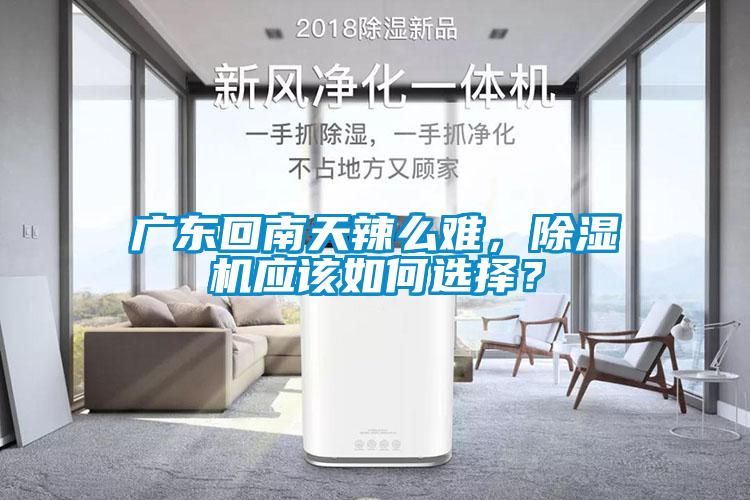 廣東回南天辣么難，除濕機(jī)應(yīng)該如何選擇？