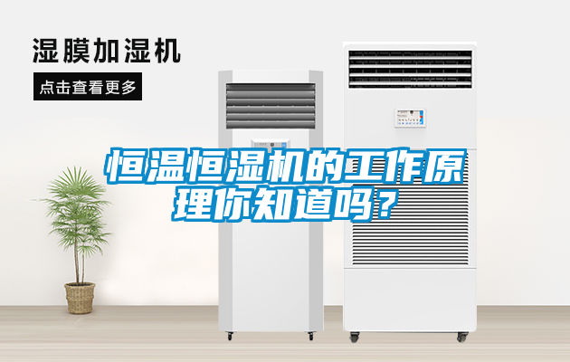 恒溫恒濕機(jī)的工作原理你知道嗎？