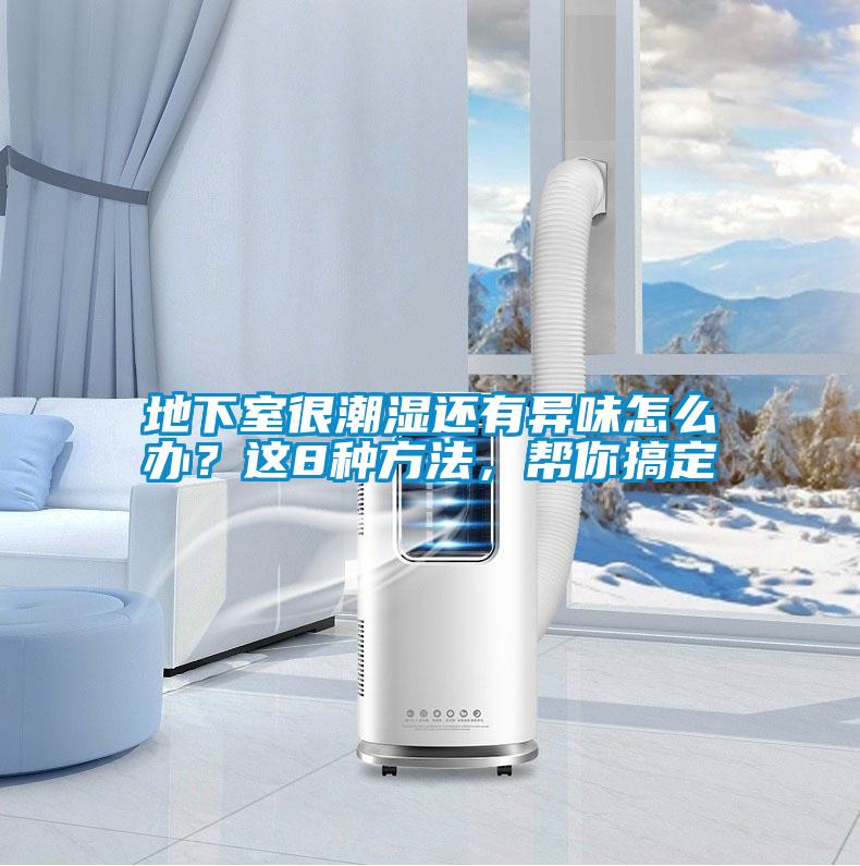 地下室很潮濕還有異味怎么辦？這8種方法，幫你搞定