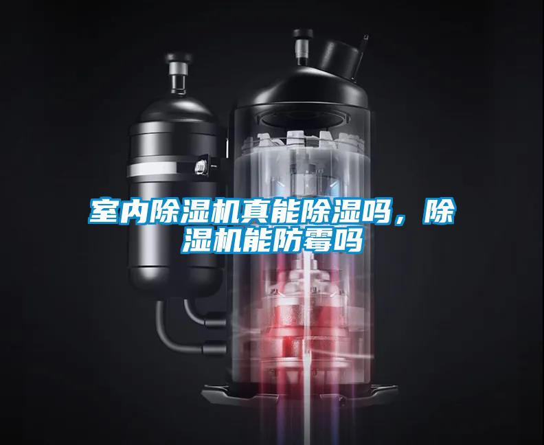 室內(nèi)除濕機真能除濕嗎，除濕機能防霉嗎