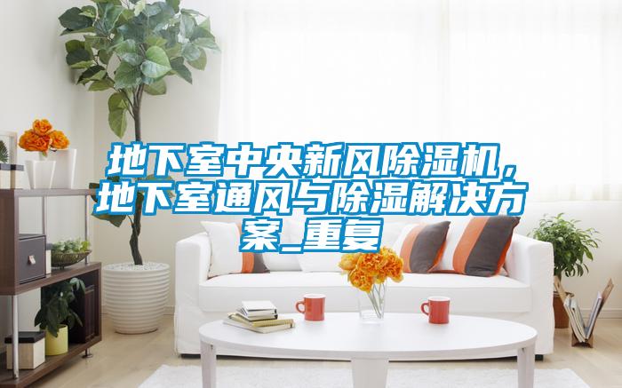 地下室中央新風(fēng)除濕機(jī)，地下室通風(fēng)與除濕解決方案_重復(fù)