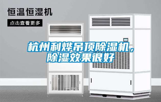 杭州利燁吊頂除濕機(jī)，除濕效果很好