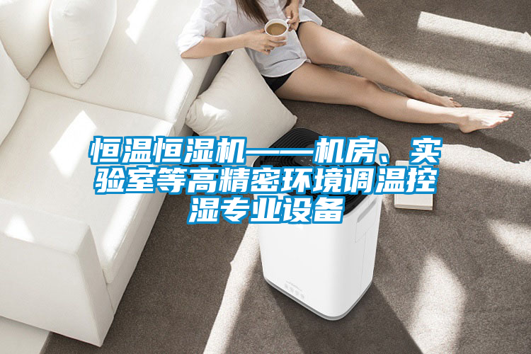 恒溫恒濕機——機房、實驗室等高精密環(huán)境調溫控濕專業(yè)設備