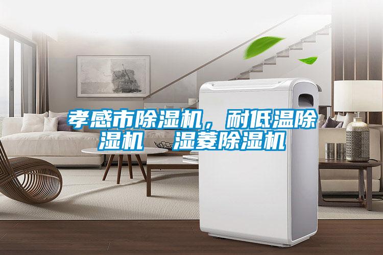 孝感市除濕機(jī)，耐低溫除濕機(jī)  濕菱除濕機(jī)
