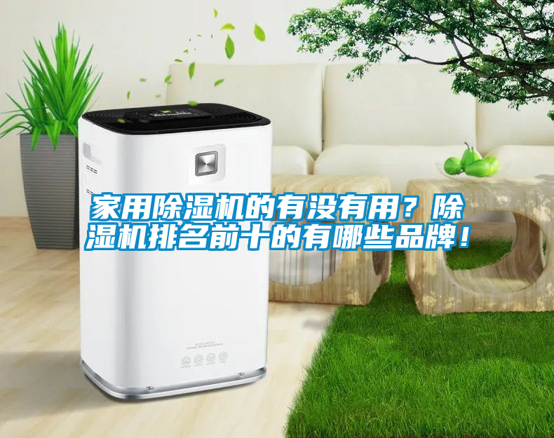 家用除濕機(jī)的有沒有用？除濕機(jī)排名前十的有哪些品牌！