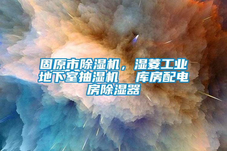 固原市除濕機(jī)，濕菱工業(yè)地下室抽濕機(jī)  庫房配電房除濕器